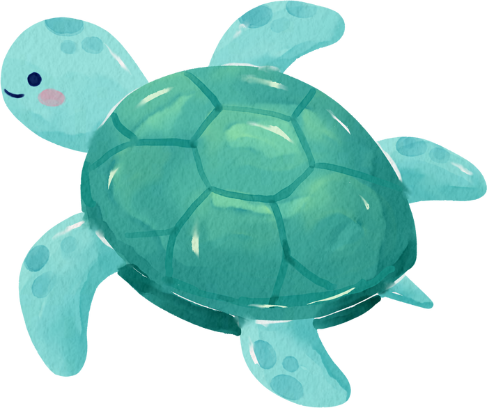 Turtle Watercolor Cute Sea Animal